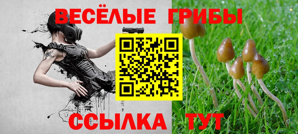 Прохладный  Галлюциногенные грибы Magic Shrooms  Вход с VPN 