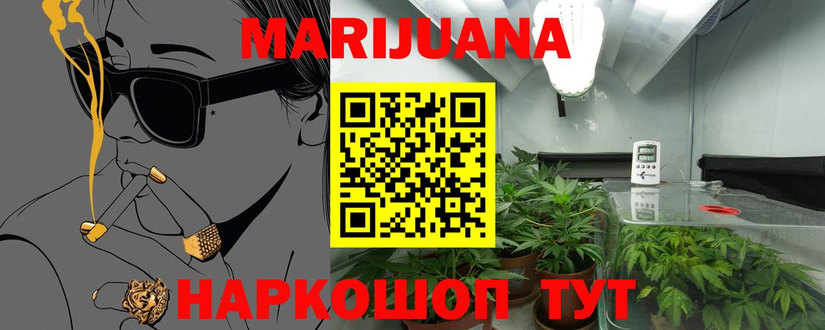 Конопля план  Вход с VPN  Марихуана ГИДРОПОН  Бошки Шишки VHQ  Прохладный 